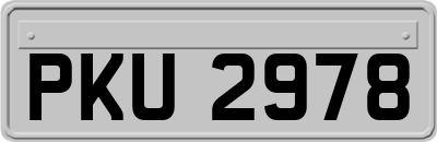 PKU2978