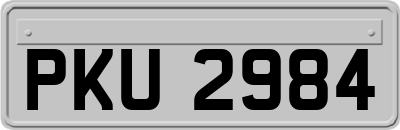 PKU2984