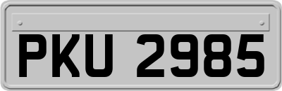 PKU2985