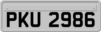 PKU2986