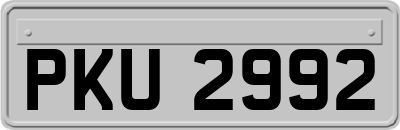 PKU2992