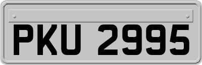 PKU2995