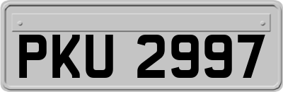 PKU2997