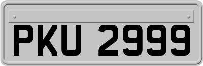 PKU2999