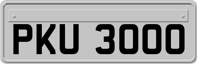 PKU3000