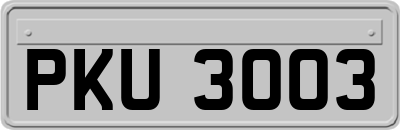 PKU3003