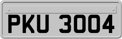 PKU3004