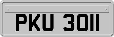 PKU3011