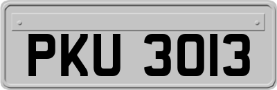 PKU3013