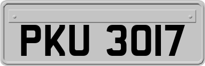 PKU3017