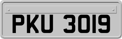 PKU3019