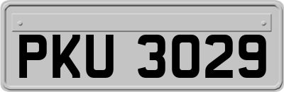 PKU3029