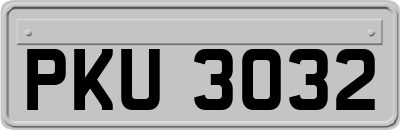 PKU3032