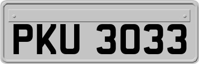 PKU3033