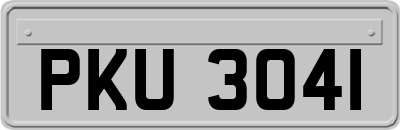 PKU3041