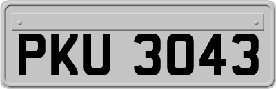 PKU3043