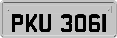 PKU3061