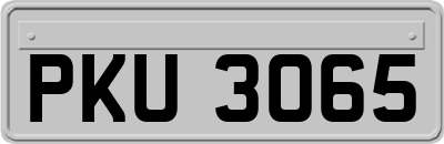 PKU3065