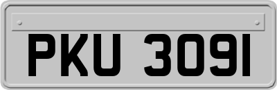 PKU3091