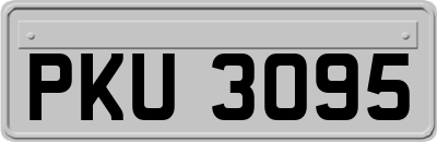 PKU3095