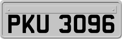 PKU3096