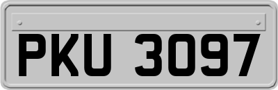 PKU3097
