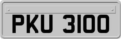 PKU3100