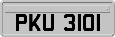 PKU3101
