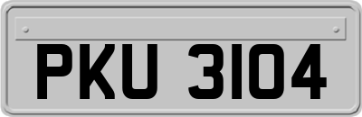 PKU3104