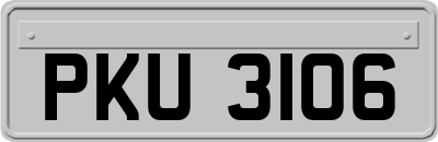 PKU3106