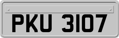 PKU3107