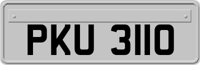 PKU3110