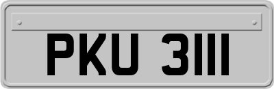 PKU3111