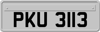 PKU3113