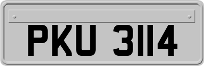 PKU3114