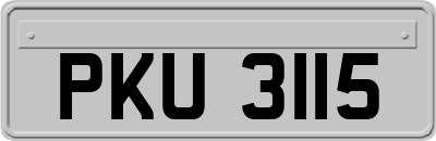 PKU3115
