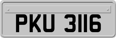 PKU3116