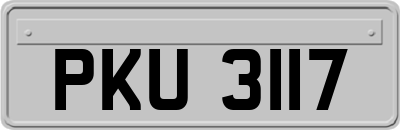 PKU3117