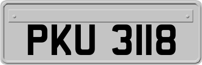 PKU3118