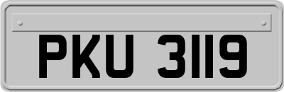 PKU3119