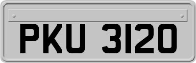 PKU3120