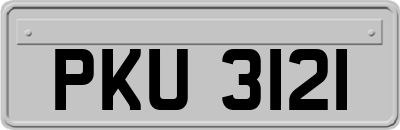 PKU3121