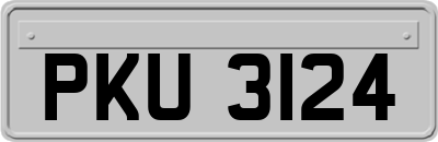 PKU3124