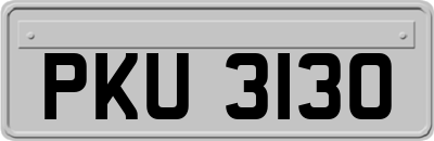 PKU3130