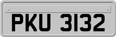 PKU3132