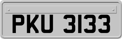PKU3133