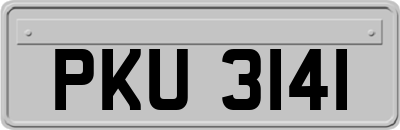 PKU3141