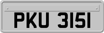 PKU3151