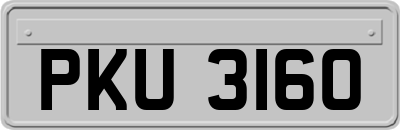 PKU3160