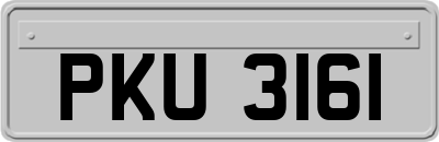 PKU3161